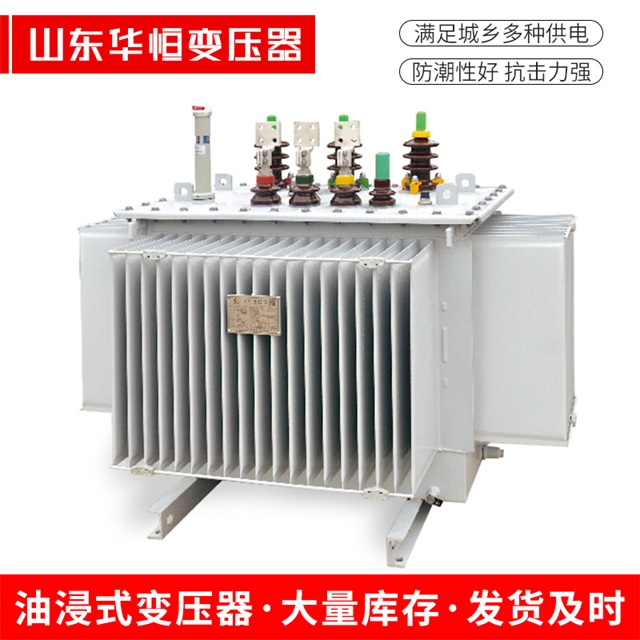 S13-10000/35平桥平桥平桥电力变压器